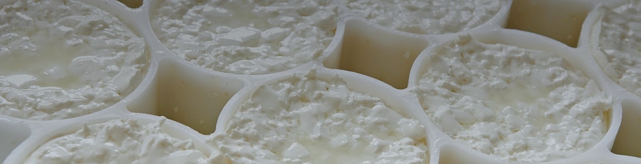 Salumi_washer